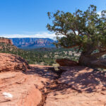 Things to Do in Peoria