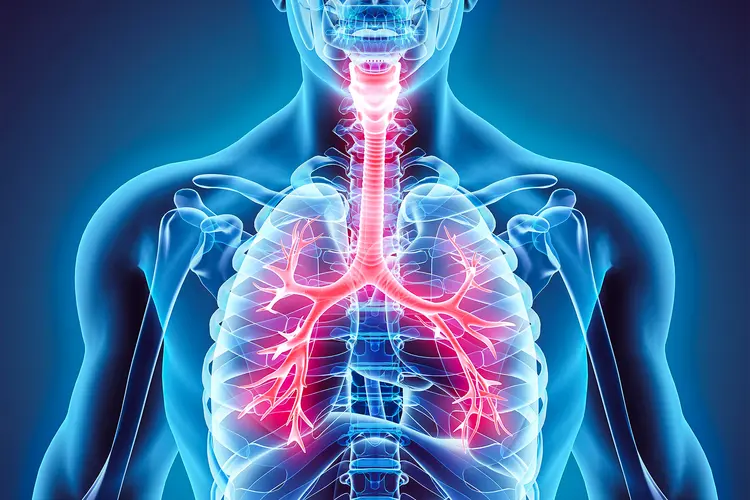 Bronchitis Symptoms – Chest Congestion Signs Explained Simply