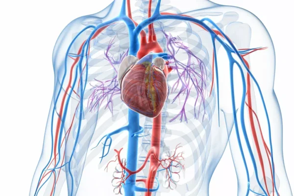 Heart Failure Symptoms – Swelling And Breathlessness Explained Simply