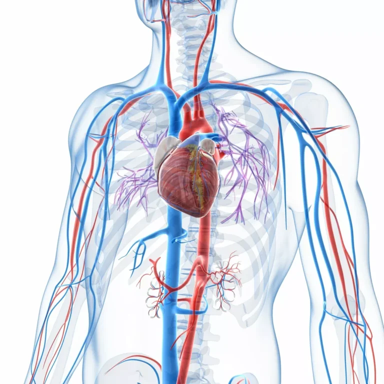 Heart Failure Symptoms – Swelling And Breathlessness Explained Simply